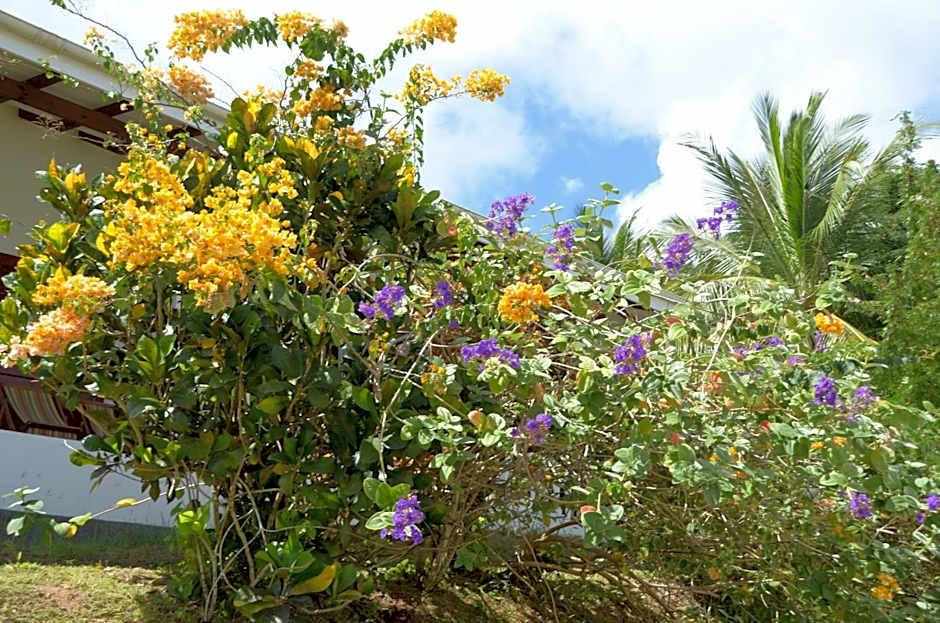 La Residence Villas & Studios