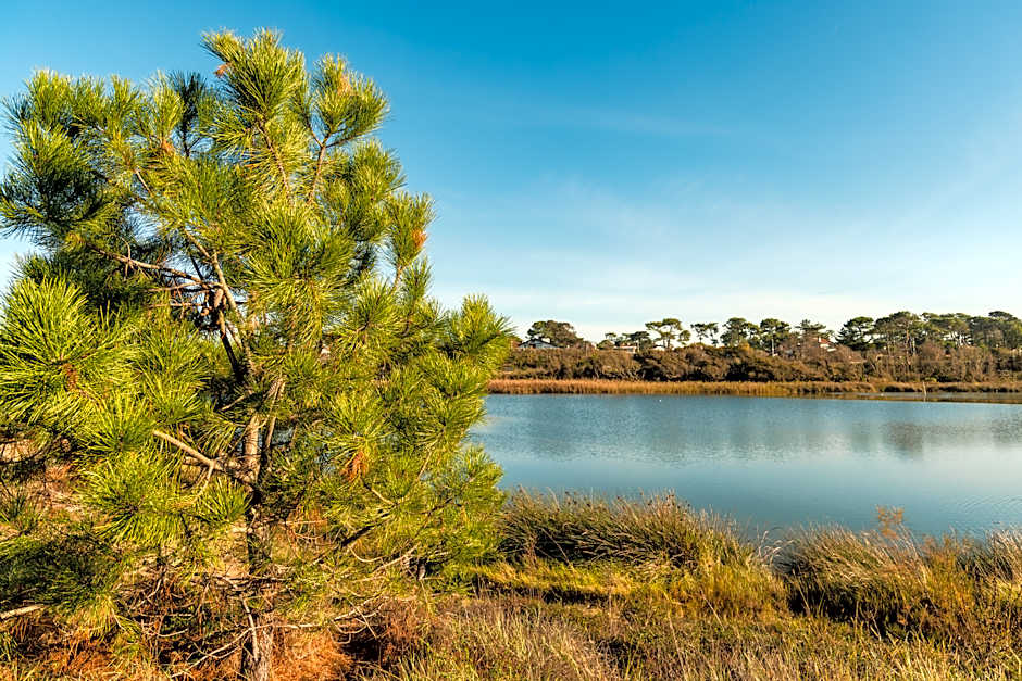Hôtel Maison Chiberta