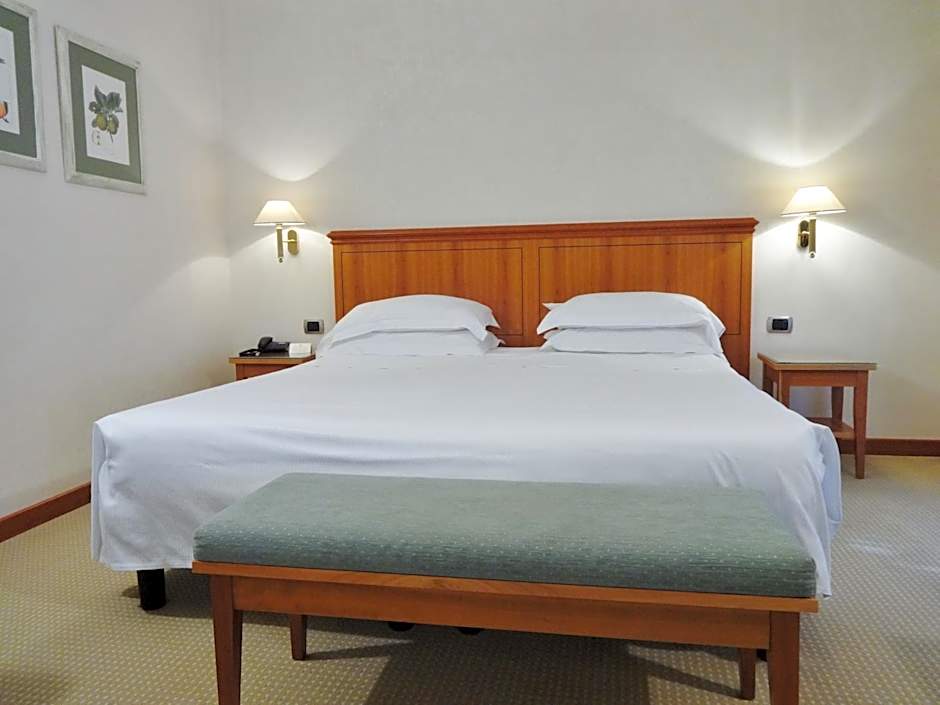 Hotel Excelsior Magenta