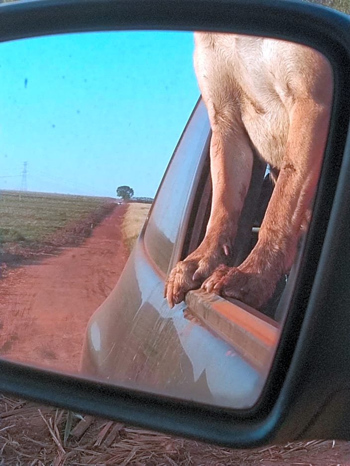 Café com Arte Pousada Ecológica