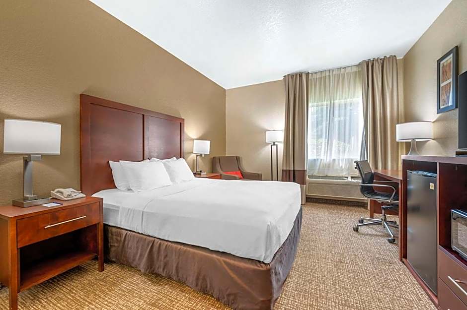 Comfort Inn Fremont
