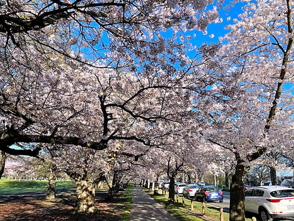 Central Park Motor Lodge