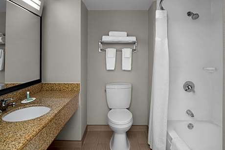 One-Bedroom Executive King Suite with Sofa Bed