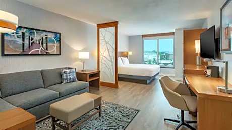 King Room with Sofa Bed