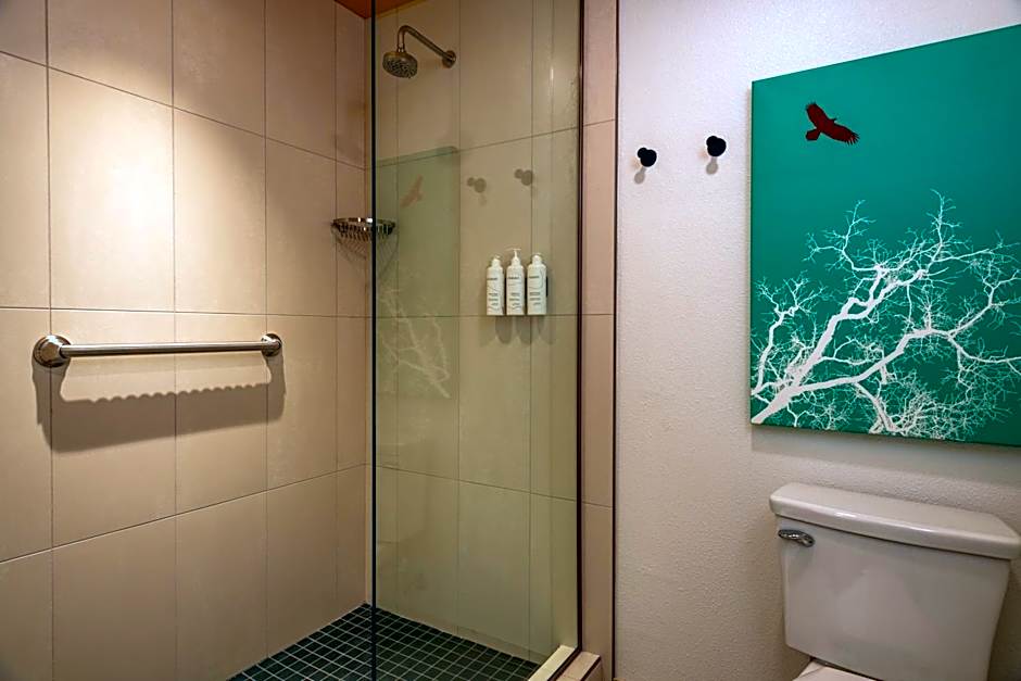 Boundary by Terra Vi Durango