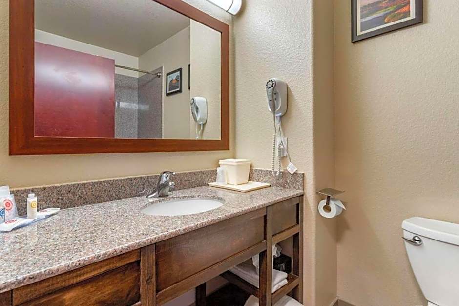 Comfort Inn & Suites Navasota