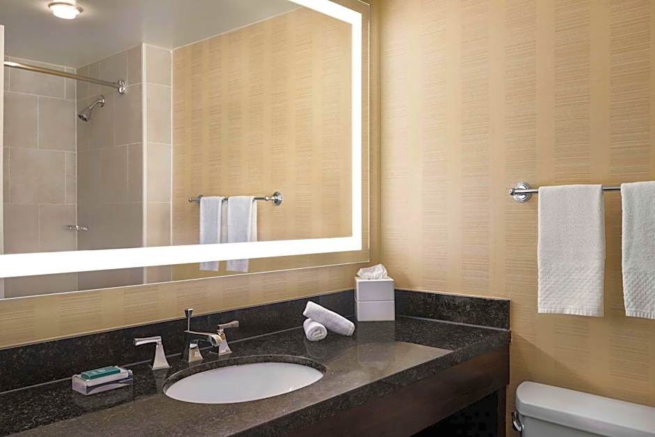 Hilton Tampa Downtown