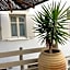 Speires suites