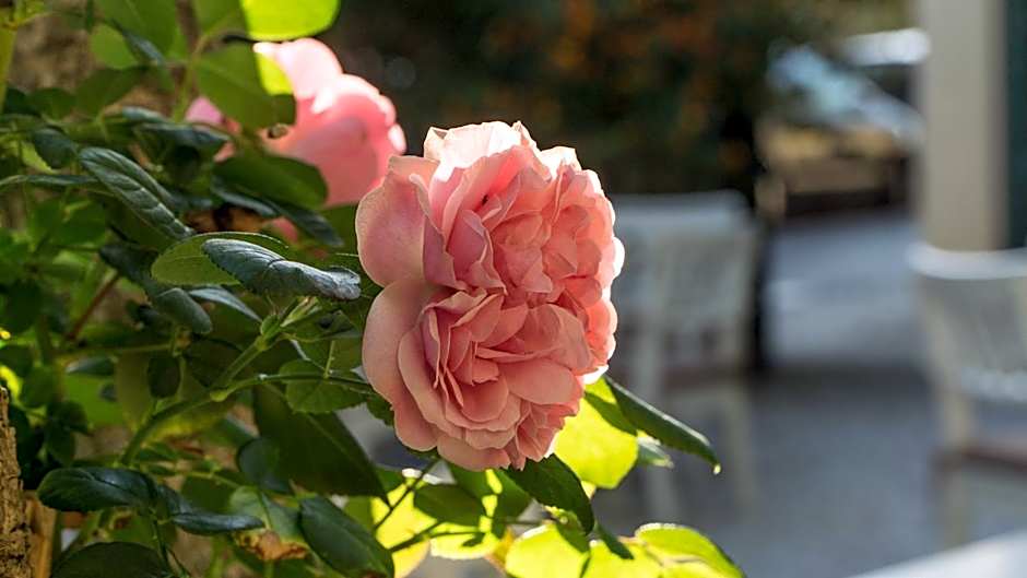 Hotel Club I Pini - Boutique Hotel & Residenza d'Epoca