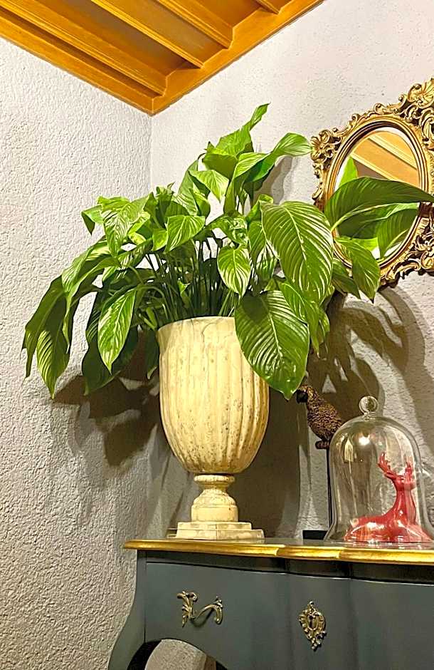 VILLA OXA - Boutique Design Hotel