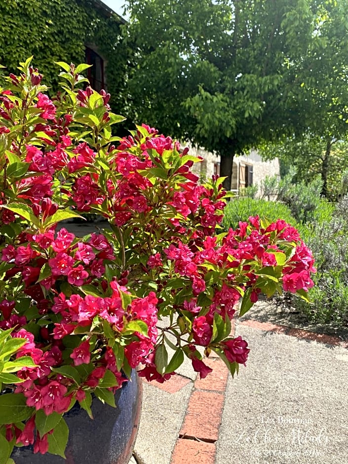 Chambres d'Hôtes Les Bournais - Le Clos Milady