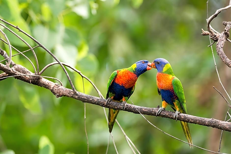 Thala Beach Nature Reserve