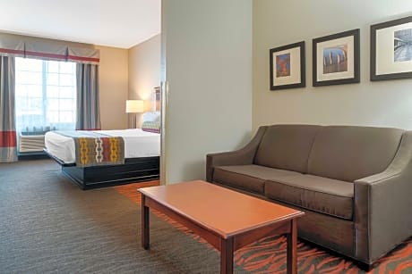 1 King Bed Non-Smoking Sofabed For One Person Desk Microwave And Refrigerator Wi-Fi Full Breakfast