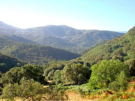 Rez de Villa