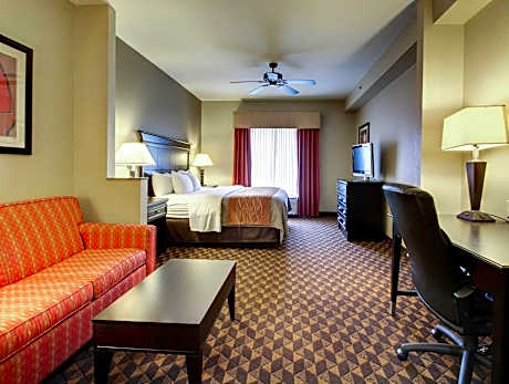 1 King Bed, Suite, No Smoking