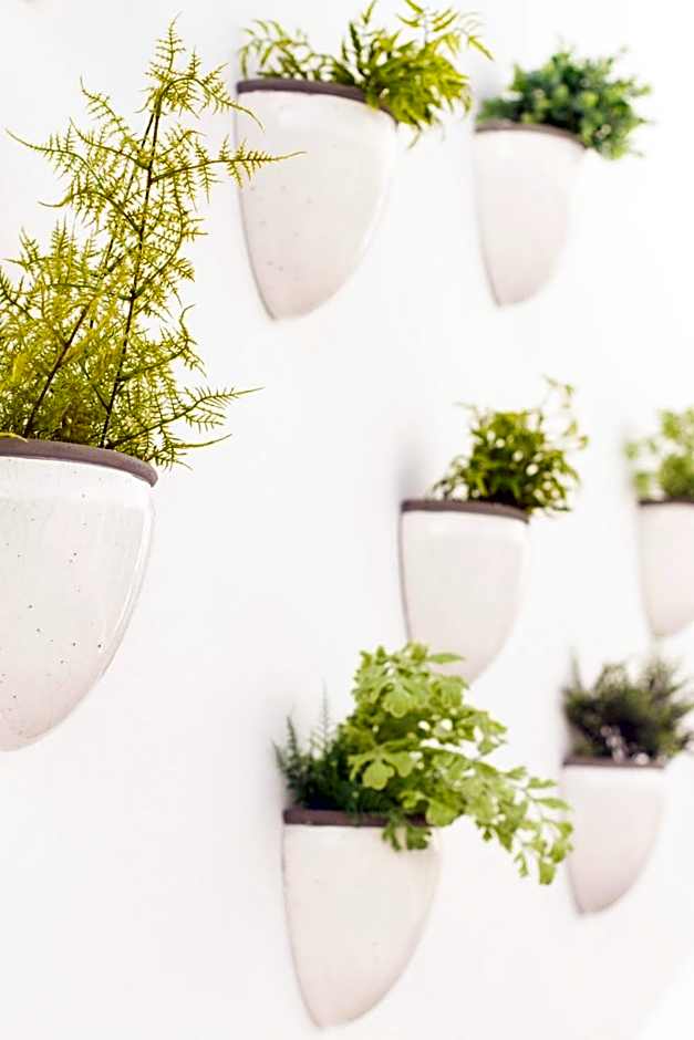 Aelia Wellness Retreat