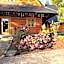 Jaszowianka Best For You