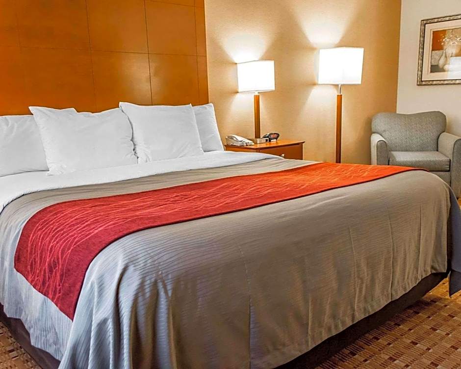 Comfort Inn & Suites Franklin East