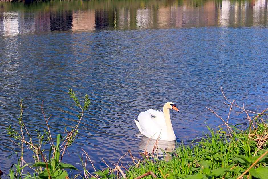 Hatzenporter Paradies