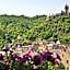 Flair Hotel am Rosenhugel - Garni