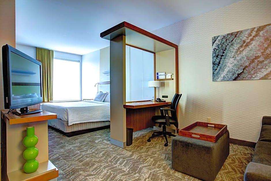 SpringHill Suites by Marriott Harrisburg Hershey