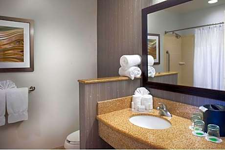 King Room with Sofa Bed and Roll-in Shower - Mobility and Hearing Accessible