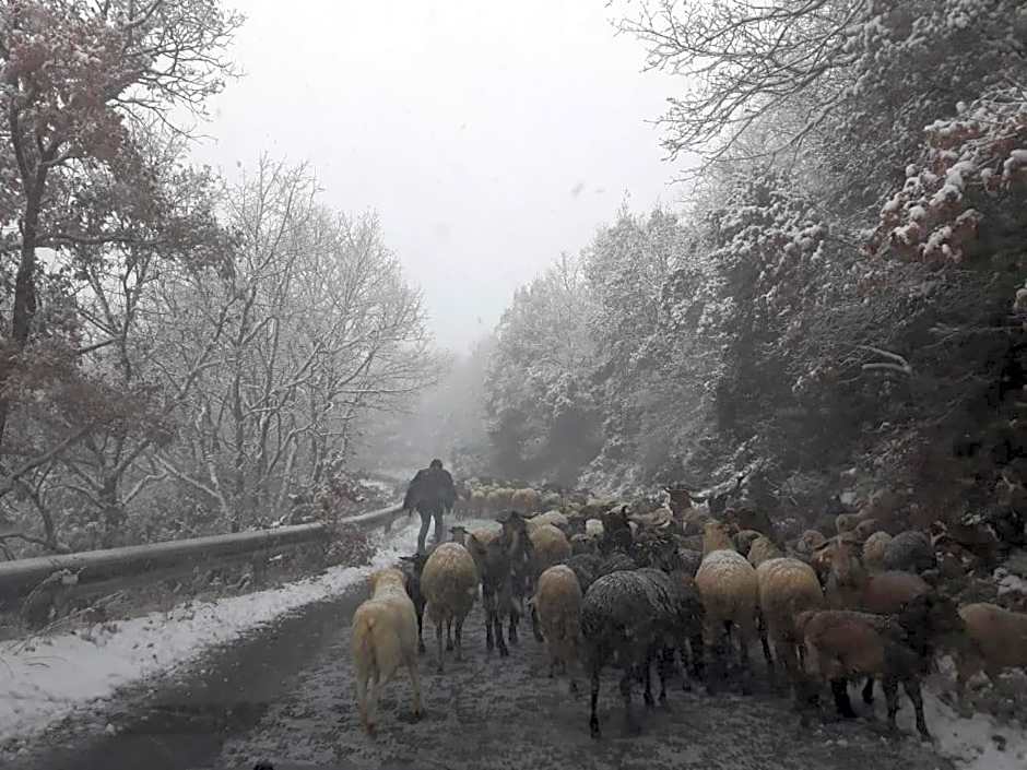 Hotel Isaraiko Spiti Agia Theodora