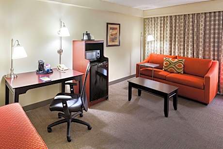 One-Bedroom King Suite