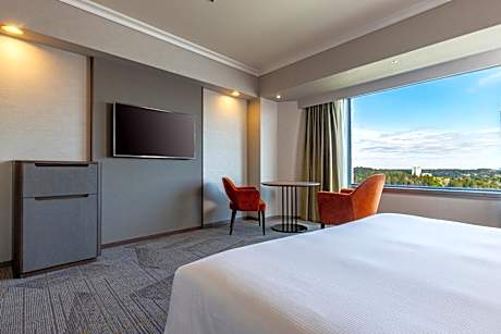 Deluxe Superior Queen Room - Airport View