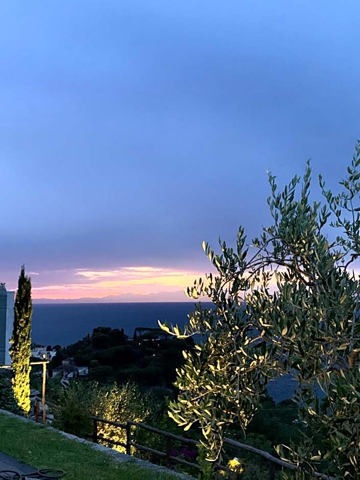 Agapanto Luxury Accommodation