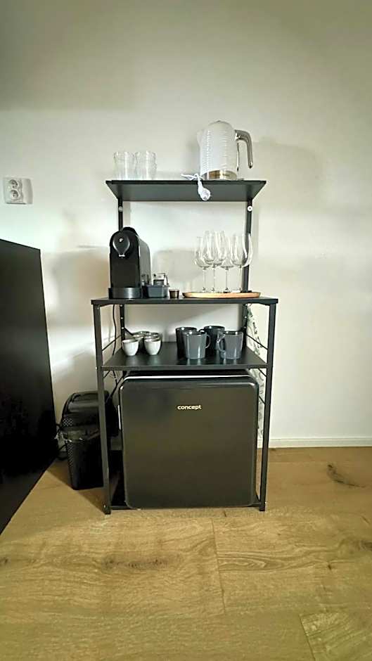 Family Apartments Černice