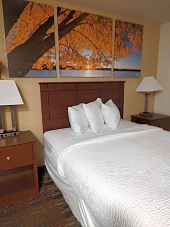 Queen Room - Disability Access - Non-Smoking