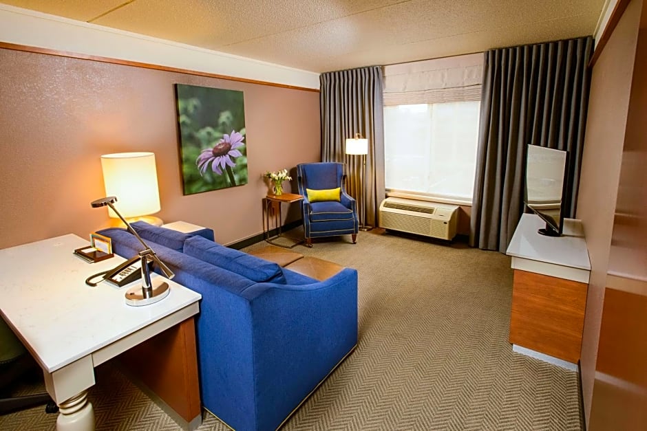 Hilton Garden Inn Rochester Downtown