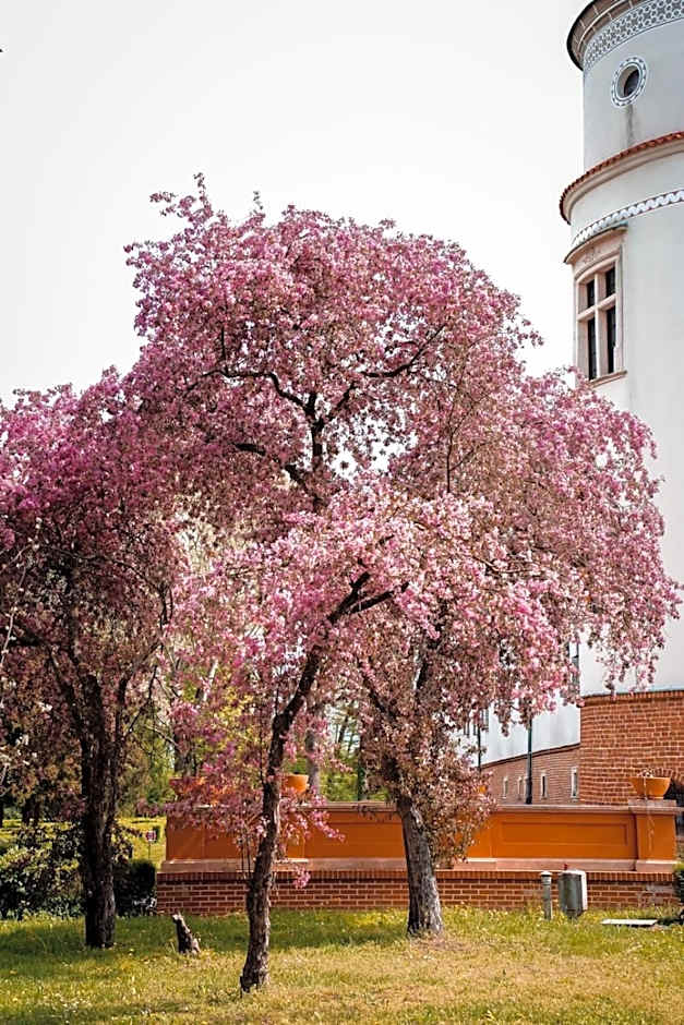 Zamek w Baranowie Sandomierskim