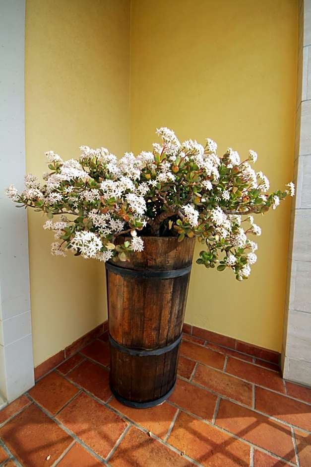 B&B La Rosa Blu