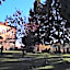 Albergo Real Castello