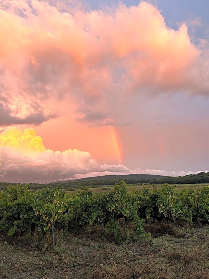 Domaine du Commandeur