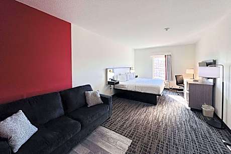 1 King Bed Non-Smoking