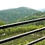 101 Tea Green View