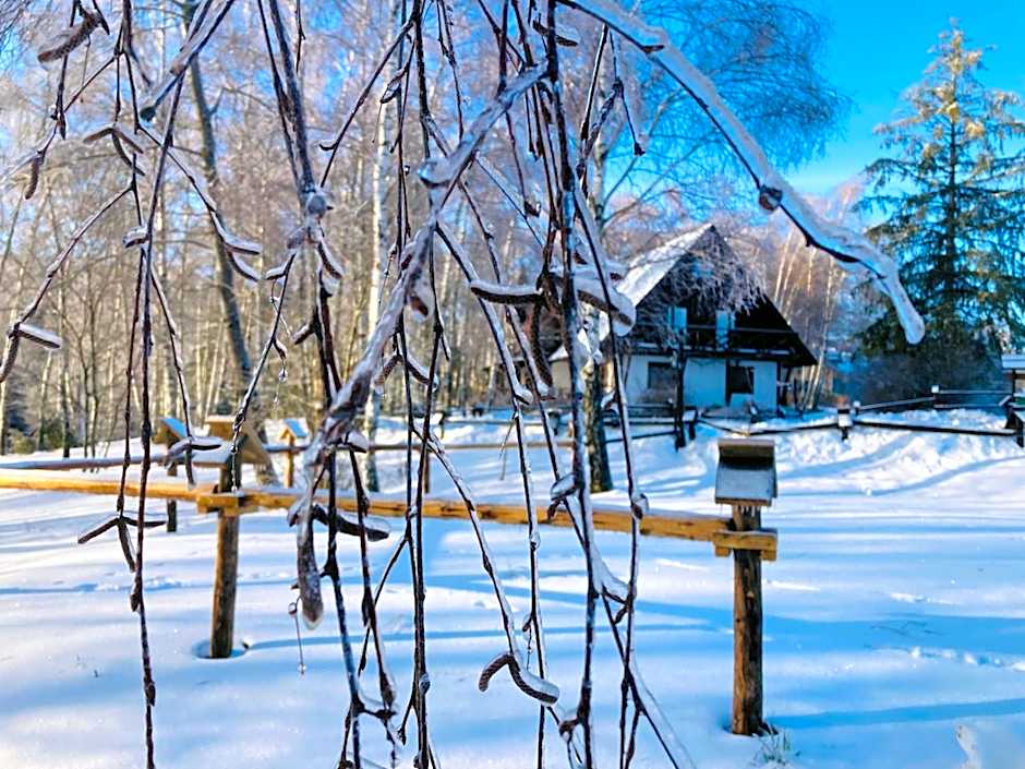 Modryna - Modrzewiowy Dom