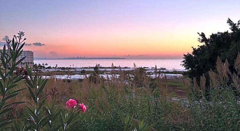 Haya Hotel & Spa