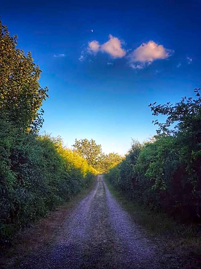 Plumptons Farm Holiday Lodges