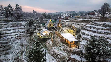 The Soul Stroll Cottages Retreat