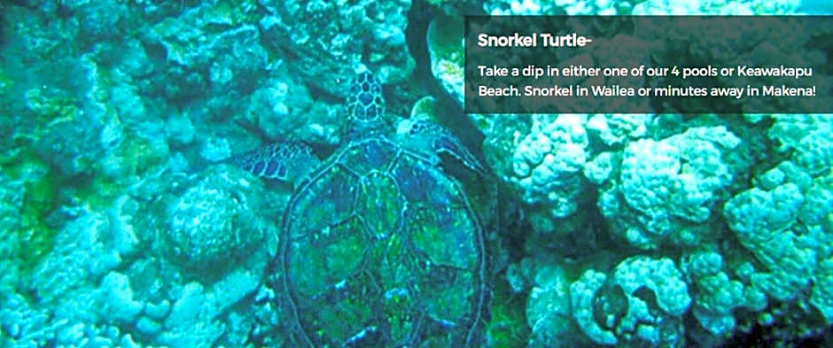 9B EKAHI VILLAGE-STUDIO BATH, GARDEN VIEW - 1 MINUTE STROLL to BEACH!