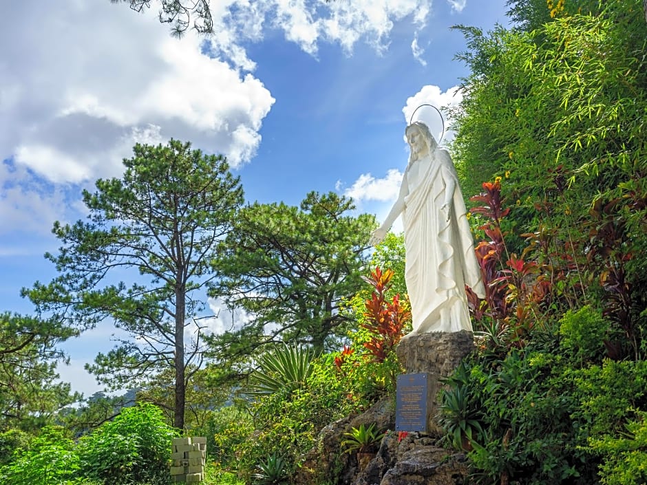 Hollywood Drive-In Hotel