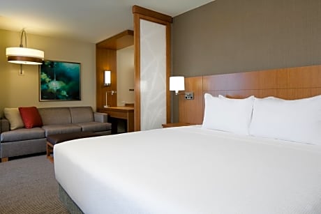 Specialty King Room with Sofa Bed