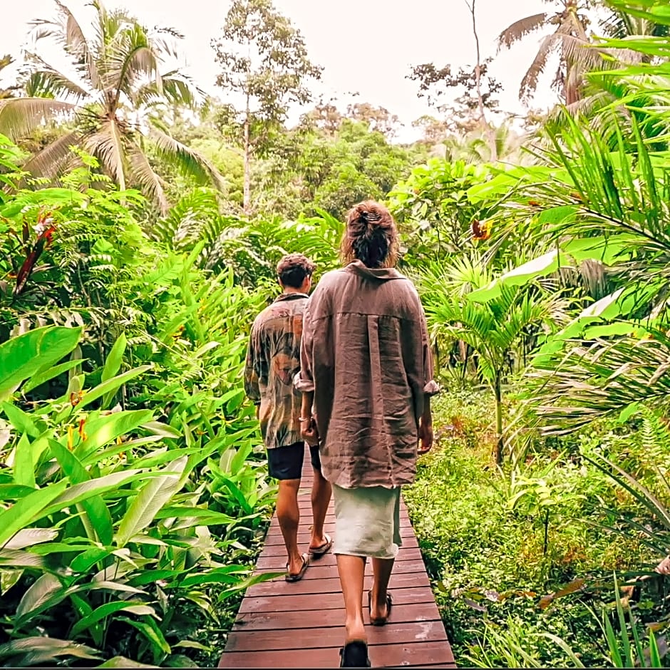 La Loma Jungle Lodge And Chocolate Farm