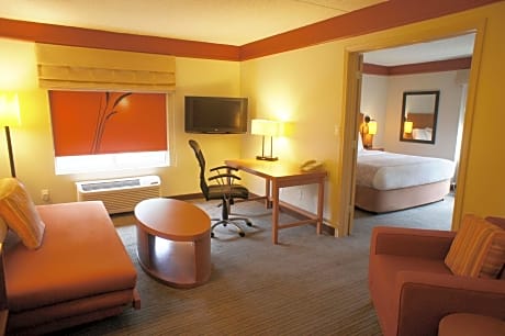 Room Pool View King Bed