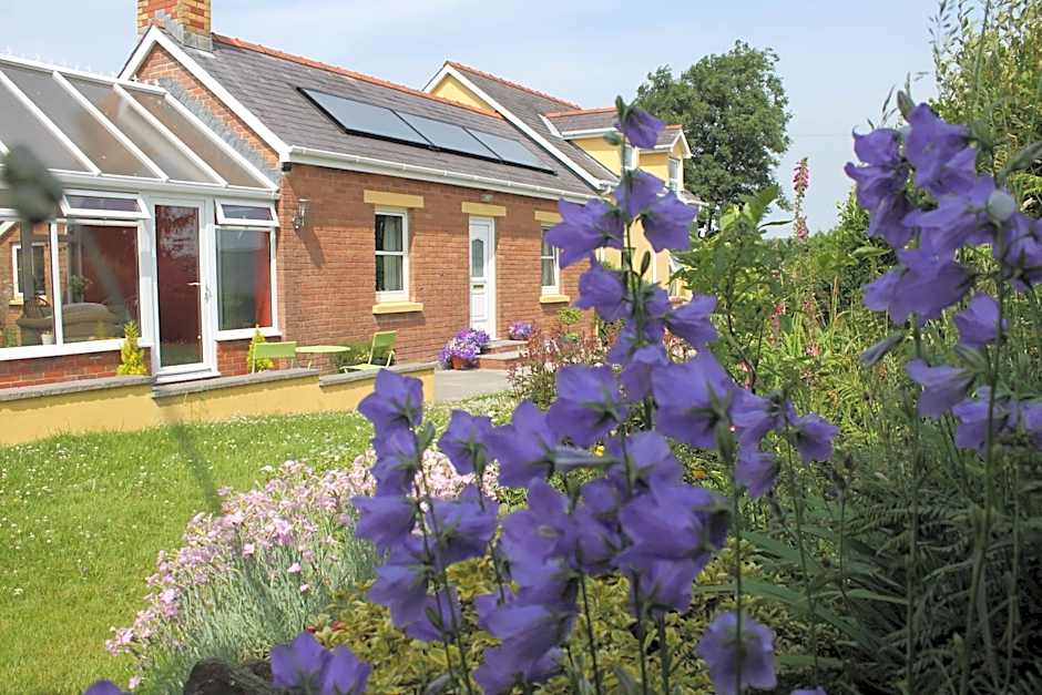 Brynhaul Bed and Breakfast