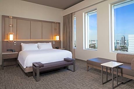 Deluxe King 1 Bedroom Suite